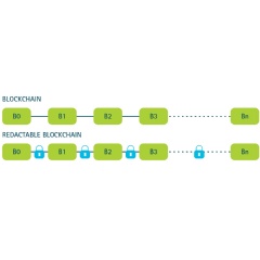 Accenture has created a prototype of an editable blockchain capability for permissioned systems based on a modified chameleon hash function developed with Dr. Giuseppe Ateniese