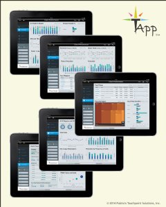 T-App - The anytime, anywhere, and any-data decision support tool
