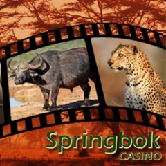 Freeroll slots tournaments and casino bonuses during South African casinos Big 5 Sundays event