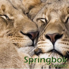 Valentines free spins at South Africas Springbok Casino and Mobile Casino.