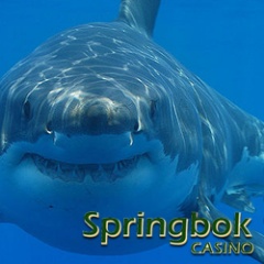 Shark Month casino bonuses and slots tournament
