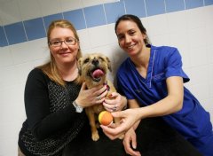 Trixie with her owner Melanie Pounder and PDSA vet Emma Holt