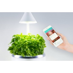 Philosophically, the startups aim is to power a personal produce movement, Jennifer Farah SM 13 says, in which more people grow their own food, encouraging healthier eating and cutting down on waste. Courtesy of SproutsIO Inc.