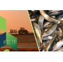 Commission adopts limited prolongation of State aid crisis tools to further support agriculture and fisheries sectors
