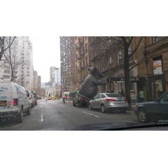 20 Foot Inflatable Rat Settling in front of 143 West 69th Street (location of Noi Due restaurant) for Tenant Rat Protest.