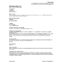 Spore Trap Fungal Glossary Report
