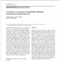 Mycological Progress: EMLab P&K Microbiologists Discover New Fungal Genus Named Curviclavula