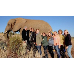 Millennials - a new generation of hands-on wildlife conservation volunteer travelers.