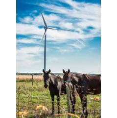 Siemens D3 wind turbines ordered for Canadian project: 220 kilometers southwest of Toronto in Ontario the Grand Bend wind power plant will be erected with 40 Siemens direct drive wind turbines of the type SWT-3.2-113.
