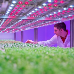 Philips City Farm Research Center