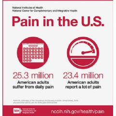 Pain in the United States