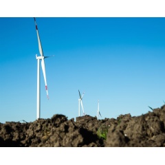 The Hornsdale wind project, located in the Australian Capital Territory (ACT), will consist of 32 Siemens SWT-3.2-113 direct drive wind turbines.