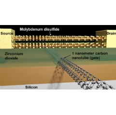 Schematic of a transistor with a molybdenum disulfide channel and 1-nanometer carbon nanotube gate. (Credit: Sujay Desai/UC Berkeley)