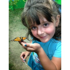 The Fairs Butterfly Adventures exhibit teaches kids how to feed butterflies. Fair opens June 6 and runs thought June 14th