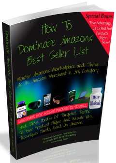 Dominate Amazons Best Seller List