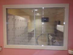 Vision Control integrated louvers ensure adjustable privacy at the Sidra Medical and Research Center.