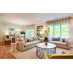 James Place awarded “Attached Community of the Year – Under $350,000” was merchandised by national interior design company, Lita Dirks & Co.