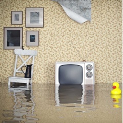 Superior Flood and Fire Restoration is not just a company; its a lifeline.