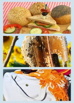 toothpick in a sandwich, a honey comb, and tote bag handle are all on this year’s bizarre summer pet insurance claims list from Pets Best.