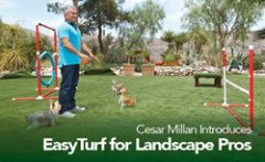 Cesar Millan, EasyTurf Partnership Makes Backyards Better