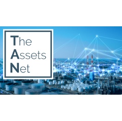 The Assets Net (TAN)