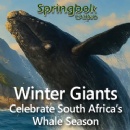 Salute South Africas Whale Season with 25 Free Spins on The Cash is Right Slot at Springbok Casino