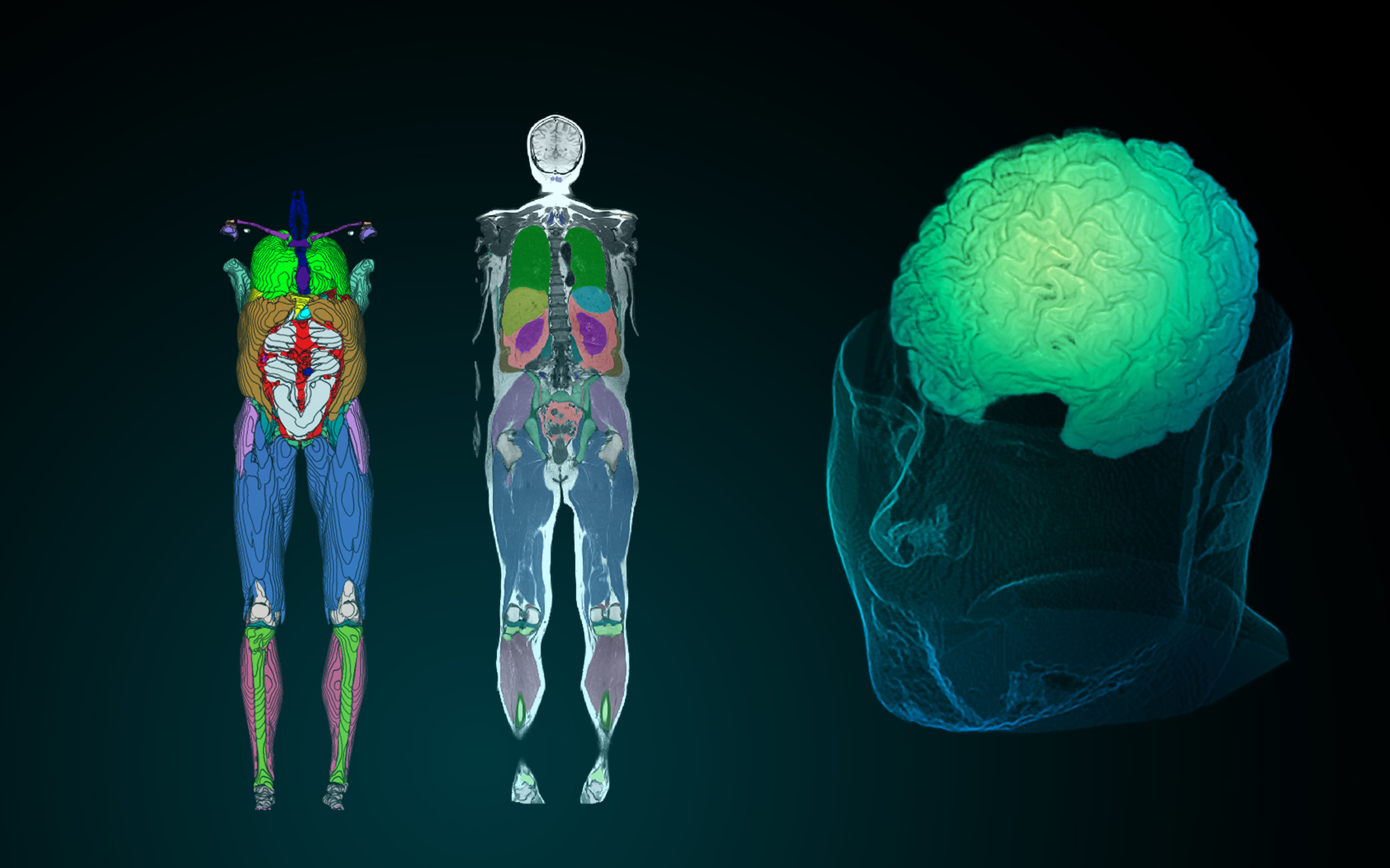 Prenuvo's AI body scanner can detect hundreds of medical conditions in