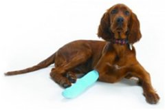 Pet Accident Claims