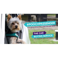 Pooch Passenger from The Car Buying Service