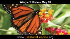 The Elizabeth Hospice Wings of Hope Butterfly Release May 18, 2014. Visit www.elizabethhospice.org