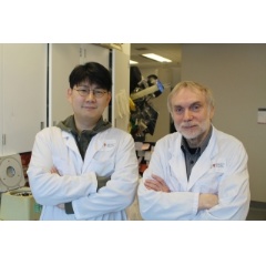 Dongsic Choi and Janusz Rak have discovered that the oncogne EGFRvIII disrupts cell-to-cell communication leading to the disease