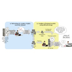 Fig. Overview of the development process