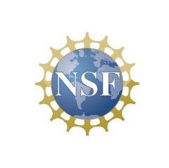 NSF’s PEER program aims to create tools that will teach vital STEM skills. Credit: NSF