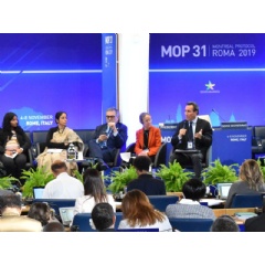 Carrier Transicold & Refrigeration Systems President David Appel (right) took part in a roundtable discussion as part of the 31st Meeting of the Parties of the Montreal Protocol, at the United Nations Food and Agriculture Organization headquarters...