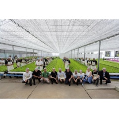 Since November 2019, organic vegetables have been cultivated in the Brazilian Daimler Trucks & Buses plant in So Bernardo do Campo for their own factory canteens.
