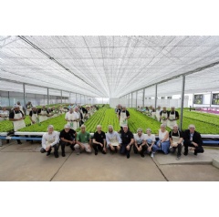 Since November 2019, organic vegetables have been cultivated in the Brazilian Daimler Trucks & Buses plant in São Bernardo do Campo for their own factory canteens.
