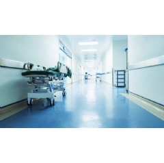 Severely ill patients who required hospitalization or ICU support had the strongest T cell responses. Image courtesy of La Jolla Institute for Immunology