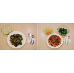 Examples of dinners given to study participants: low-carb, animal-based diet (left) and low-fat, plant-based diet (right). Amber Courville and Paule Joseph, NIH