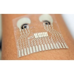 This soft, stretchy patch can monitor the wearer’s blood pressure and biochemical levels at the same time.