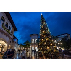 This holiday season, Disney Springs at Walt Disney World Resort in Lake Buena Vista, Fla., will transform into a winter wonderland, full of sparkling lights, enchanting décor and holiday surprises. (Matt Stroshane, photographer)