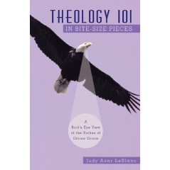Theology 101 in Bite-Size Pieces: A Birds Eye View of the Riches of Divine Grace by Judy Azar LeBlanc