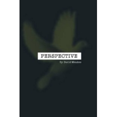 Perspective: The Golden Rule
Written by David Meakes