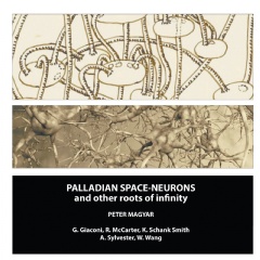 Palladian Space-Neurons and Other Roots of infinity
by Peter Magyar