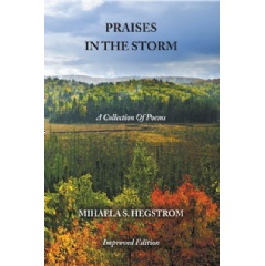 Praises in the Storm by Miahela Hegstrom