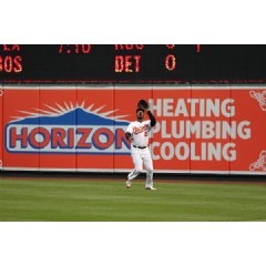 Horizon Services view in Oriole Park at Camden Yards