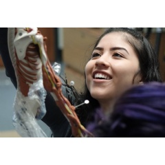 A student at the Career Education Center in Denver working with the Anatomy in Clay® Learning System.