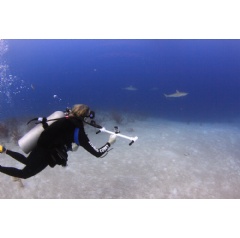 Year III TIDES student uses a set of lasers to measure sharks in the Bahamas.