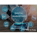 Ann Marie Puig offers simple digital marketing strategies to boost your business efficiency