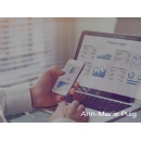 Business Efficiency Expert Ann Marie Puig Shares Projections on Accounting Systems Transforming Enterprise Operations