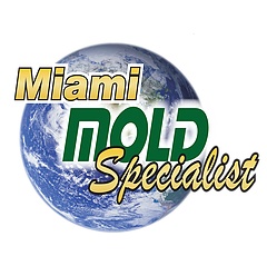 Miami Mold Specialist